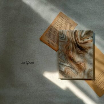 DIPLOMACOURSEリニューアルについて